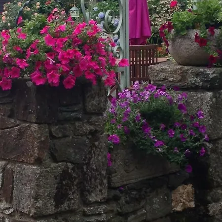 Apartment Le Petit Chateau